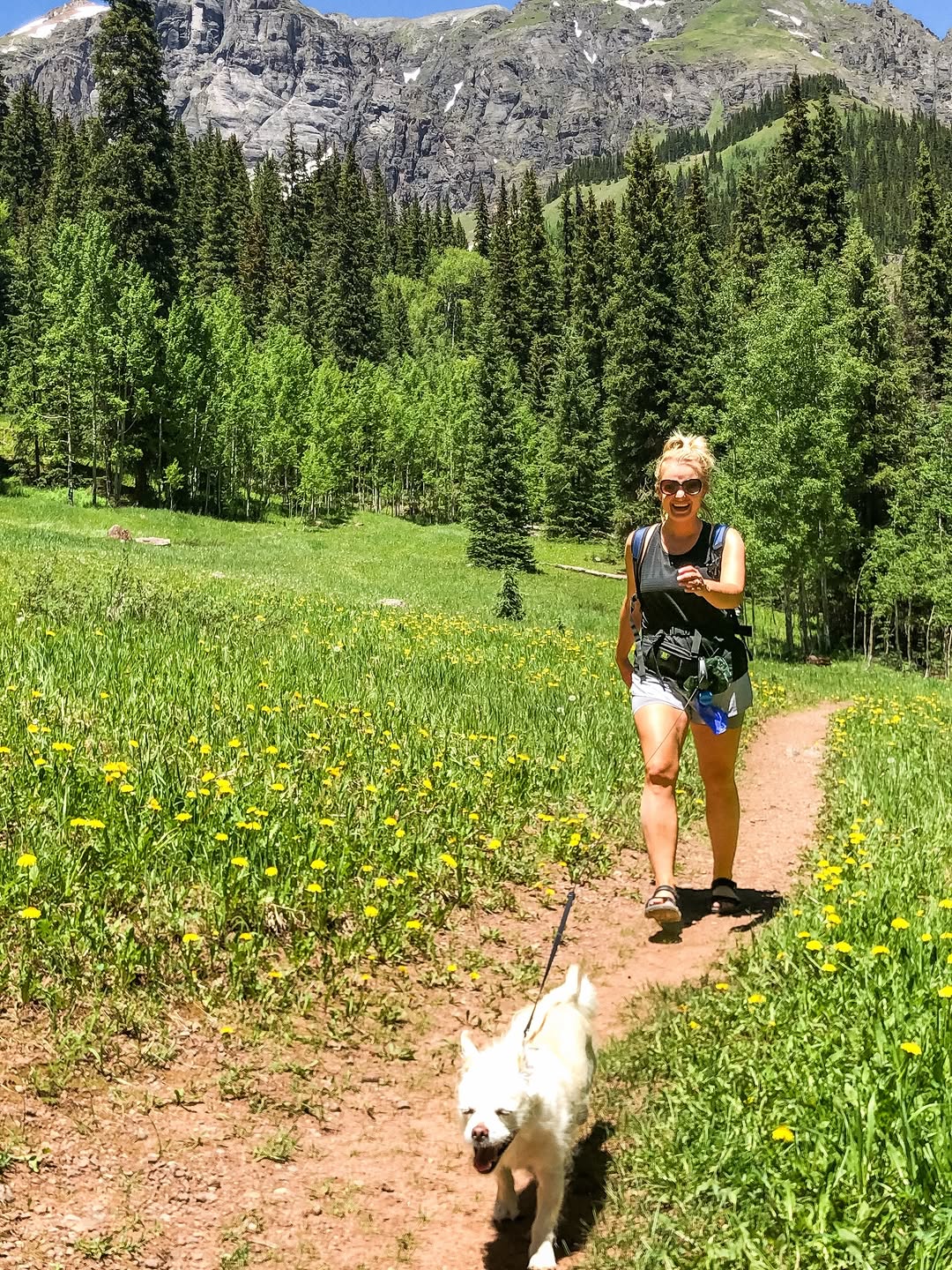Colorado trail moment with wildflowers and a dog companion